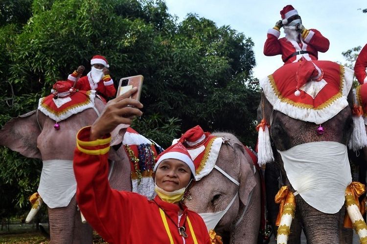 Gajah Santa Sebarkan Pesan Natal Tentang Covid-19
